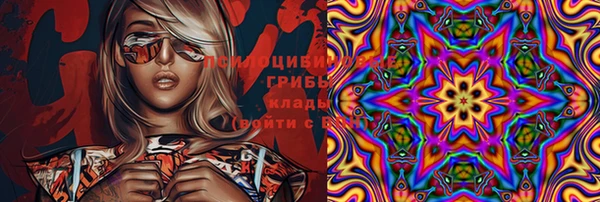 ПСИЛОЦИБИНОВЫЕ ГРИБЫ Аркадак
